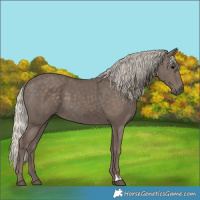 Horse Color:Silver Black 