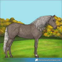 Horse Color:Silver Black 