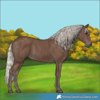 Horse Color:Silver Black 