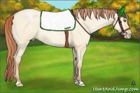 Horse Color:Buckskin Pearl Dun Rabicano 