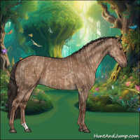 Horse Color:Liver Red Dun  and Liver Red Dun 