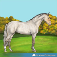 Horse Color:Silver Classic Cream Champagne Roan 