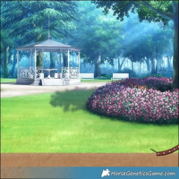 Horse Color:Brown Dun Sabino Splash Rabicano