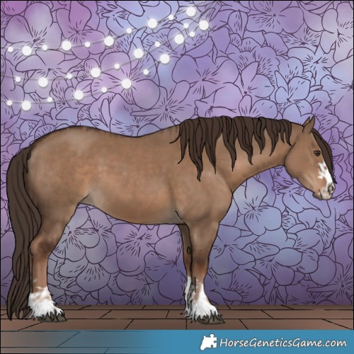 Horse Color:Liver Red Dun and Liver Red Dun