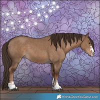 Horse Color:Liver Red Dun  and Liver Red Dun 