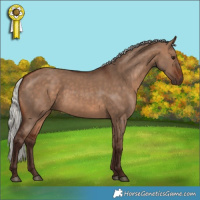 Horse Color:Silver Brown Dun 