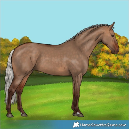 Horse Color:Silver Bay Dun 
