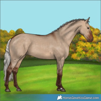Horse Color:Silver Bay Dun
