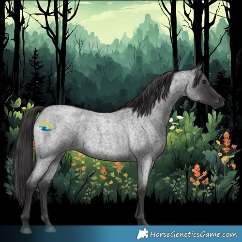 Horse Color:Smoky Blue Roan 