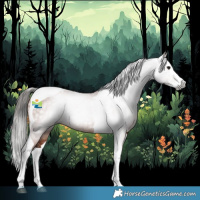 Horse Color:Gray Bay Splash Tobiano 