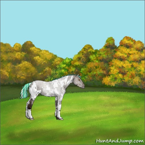 Horse Color:Painted White Spotted Silver Black Ice Pearl 