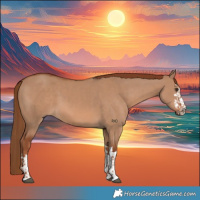 Horse Color:Red Dun and Red Dun