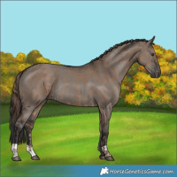 Horse Color:Liver Red Dun  and Grullo 