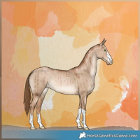 Horse Color:Liver Red Dun Pearl Brindle