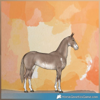 Horse Color:Liver Red Dun Sabino Brindle 