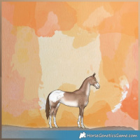 Horse Color:Brown Snowdrop Pearl Snowcap 