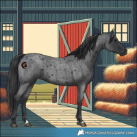 Horse Color:Blue Roan 