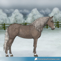 Horse Color:Silver Black 