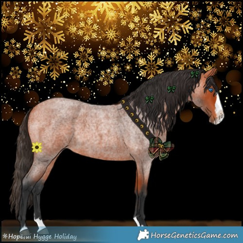Horse Color:Bay Roan Splash 