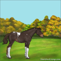 Horse Color:Liver Chestnut Tobiano Rabicano 