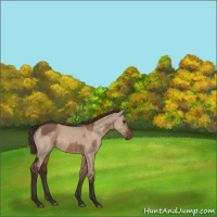 Horse Color:Liver Red Dun  and Liver Red Dun 