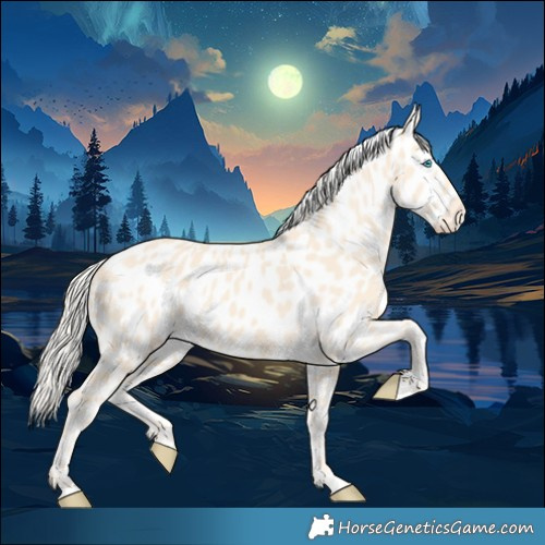 Horse Color:Cremello Appaloosa 