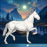 Horse Color:Cremello Near Leopard 