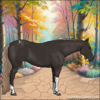 Horse Color:Liver Chestnut Tobiano 