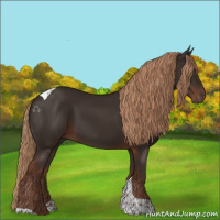 Horse Color:Liver Chestnut Tobiano 