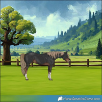 Horse Color:White Spotted Liver Chestnut Tobiano 