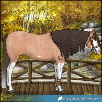 Horse Color:Bay Roan Splash Frame 