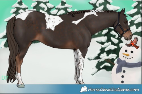 Horse Color:Liver Chestnut Tobiano 