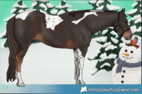 Horse Color:Liver Chestnut Tobiano 