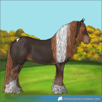 Horse Color:Liver Chestnut Tobiano 