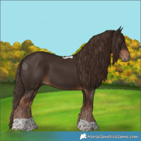 Horse Color:Liver Chestnut Tobiano 