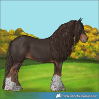 Horse Color:Liver Chestnut Tobiano 
