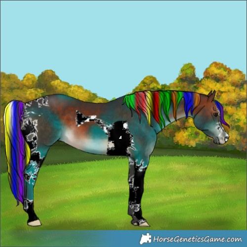 Horse Color:Painted Brown Tobiano 