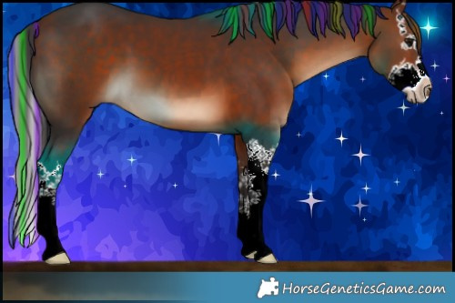 Horse Color:Painted Bay Splash 