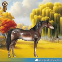 Horse Color:White Spotted Liver Chestnut 