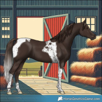 Horse Color:Liver Chestnut Tobiano