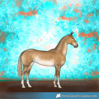Horse Color:Chocolate Palomino Dun Rabicano 