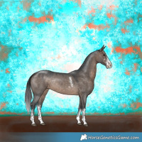 Horse Color:Brown Dun Sabino Rabicano 