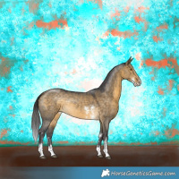 Horse Color:Buckskin Dun Sabino Rabicano