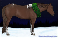 Horse Color:Liver Chestnut Tobiano