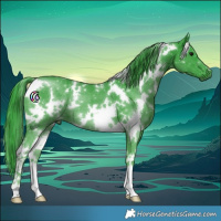 Horse Color:Watercolor White Spotted Black 