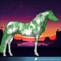 Horse Color:Watercolor White Spotted Black 