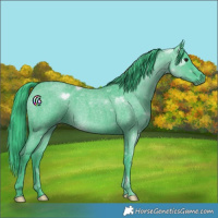 Horse Color:Watercolor Smoky Blue Roan 