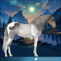 Horse Color:Silver Smoky Black Tobiano