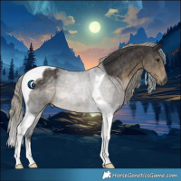 Horse Color:Silver Smoky Black Tobiano 
