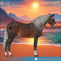 Horse Color:Silver Brown Tobiano 